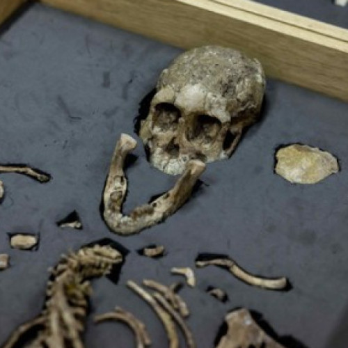 Fosilele lui Lucy, celebrul australopitec, vor fi expuse la Praga