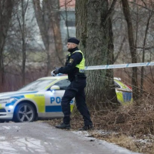 Atac violent la școala Risbergska din Suedia