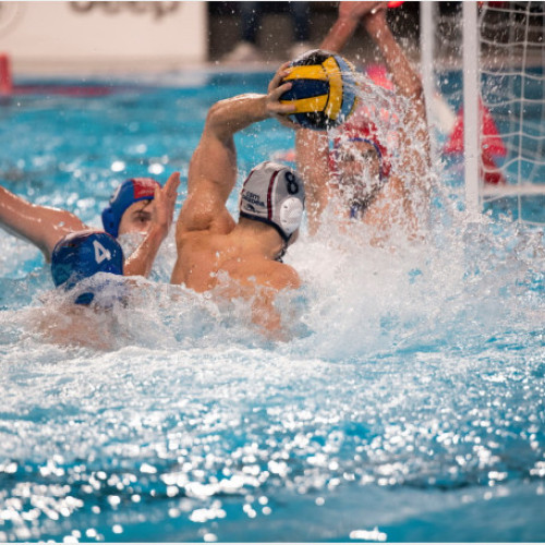 CSM Oradea începe aventura în sferturile Ligii Campionilor