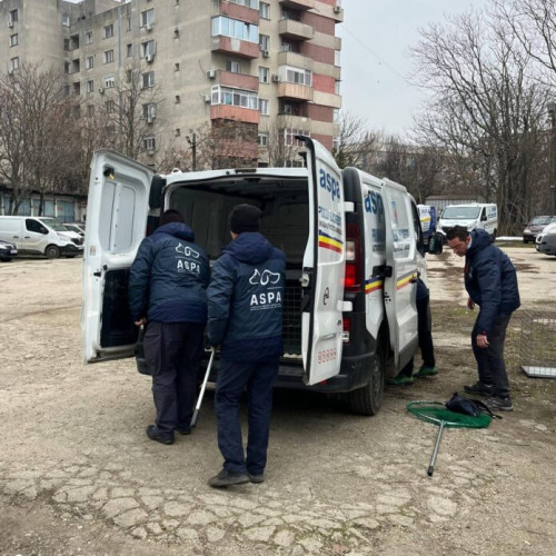 12 câini capturați de echipajele ASPA în sectoarele 3 și 6