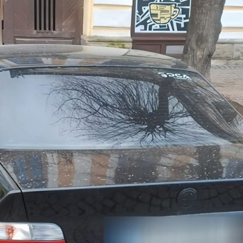 Doi șoferi amendați cu 500 de lei pentru parcarea ilegală pe pietonalul Liviu Rebreanu