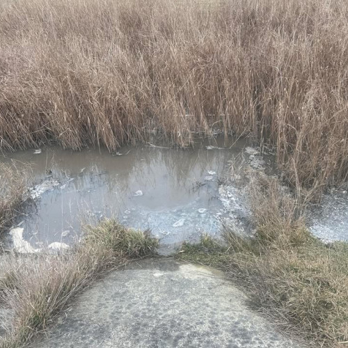 Poluarea râului Dresleuca generează o amendă de 30.000 lei pentru Nova Apaserv Botoșani