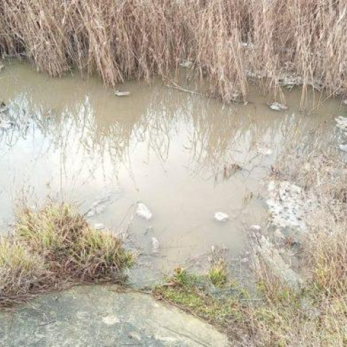 Scandalul apei de la Botoșani: probele de apă confirmă poluarea