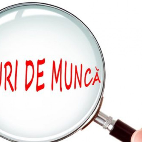 Creștere modestă a salariilor în județul Dâmbovița în noiembrie 2024