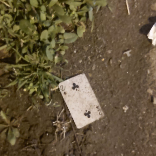 Gunoaiele din Galați: un peisaj al neputinței