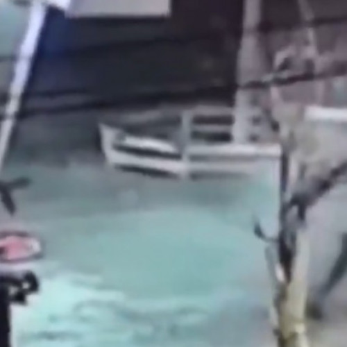 Poliția din Bruxelles caută suspecți după un incident armat