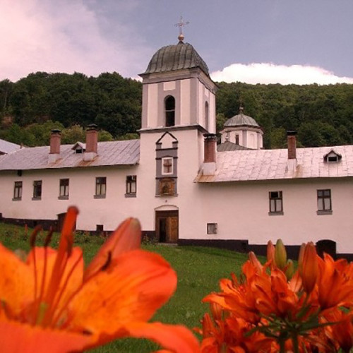 Arestarea unui călugăr și a unui îngrijitor după abuzuri sexuale la Mănăstirea Frasinei