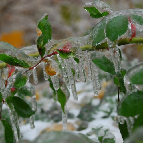 Vreme rece în România, cu ninsori slabe în unele regiuni
