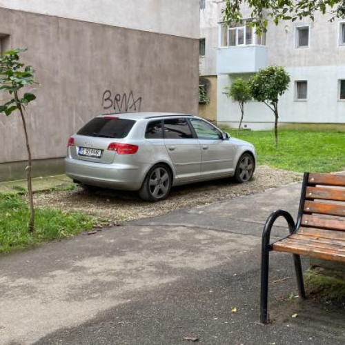 Sofer din Cluj-Napoca amendat pentru ocuparea unui spatiu verde