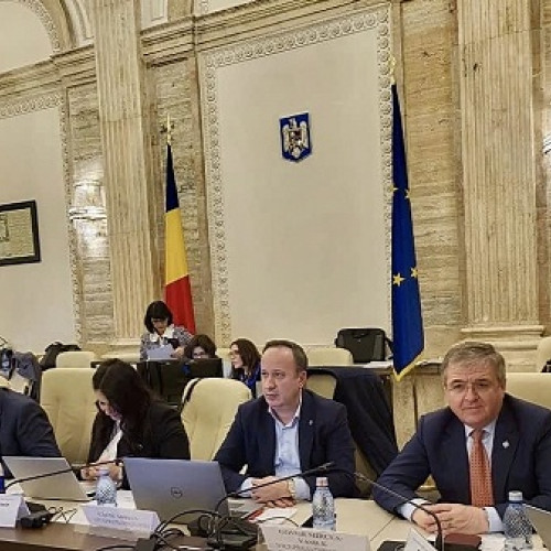 Adoptarea Legii Bugetului de Stat pentru 2025 în România