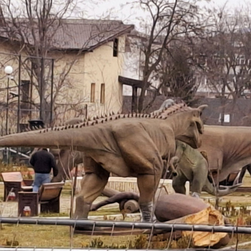 Dezamăgire pentru botosănenii care așteptau Dino Park