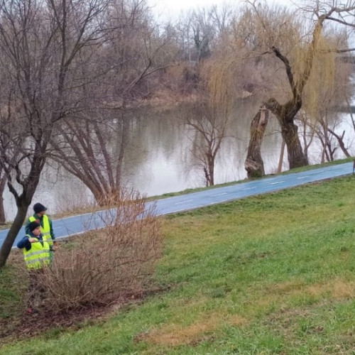 Lucrări de întreținere a spațiilor verzi pe malul Mureșului în Arad