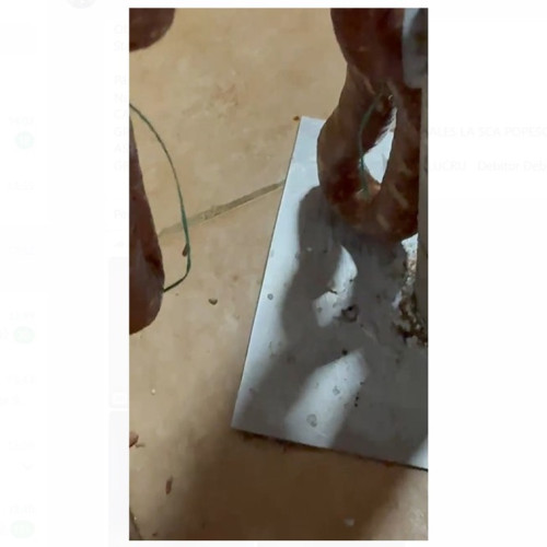 Nereguli grave descoperite la o carmangerie din Piața Griviței