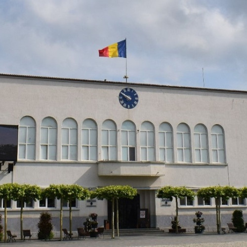 Raportul Curții de Conturi: Achiziții publice și gestionarea câinilor fără stăpân în Cernavodă