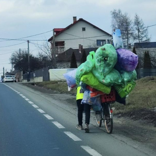 Reciclarea devine o sursă de venit pentru mulți clujeni