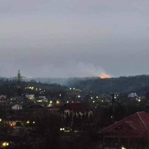 Incendiu de vegetație în Valea Voievozilor