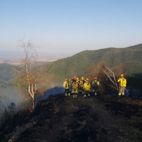 Activitatea Inspectoratului pentru Situatii de Urgenta "Crisana" din Bihor în 2024