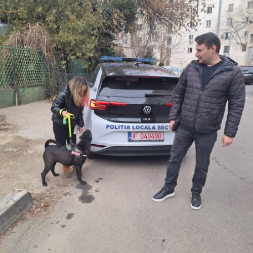 Campanie de informare privind plimbarea animalelor de companie în Sectorul 3