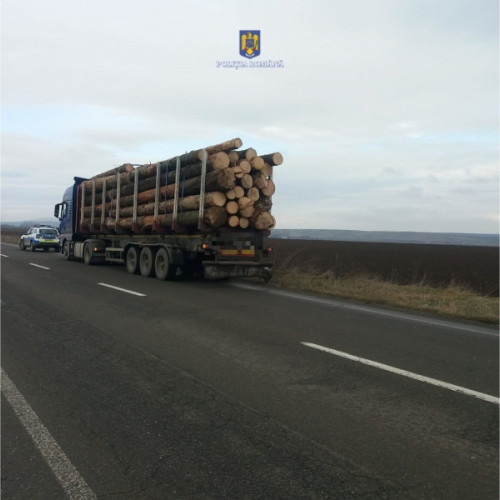 Activități pentru prevenirea abuzurilor în domeniul silvic, în Neamț