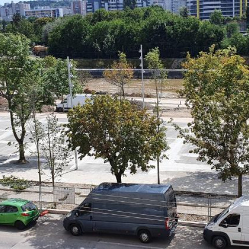 Clujeancă supărată din cartierul Zorilor se plânge de defrișările din spatele blocului