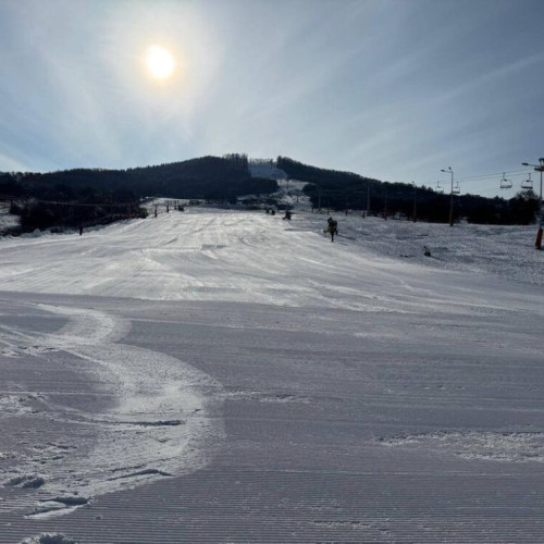 Invitație la Distracție pe Pârtia Cocos în Bistrița