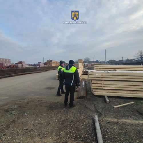Acțiune a poliției în Satu Mare pentru combaterea activităților ilegale legate de lemn
