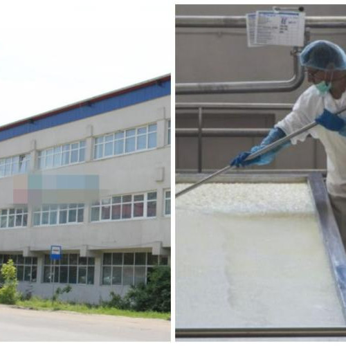 FrieslandCampina își explorează vânzarea operațiunilor din România