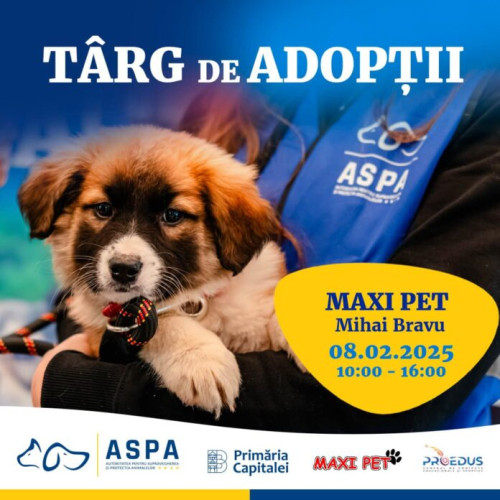 Primul târg de adopții pentru câini în 2023
