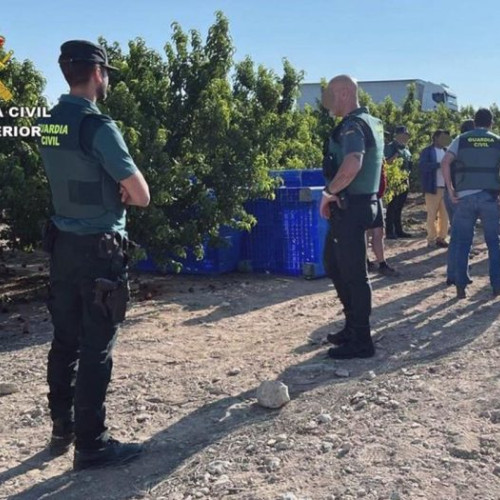 Exploatarea românilor în Spania: O rețea de trafic descoperită