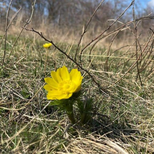 Ora de vară 2025: Schimbarea ceasurilor și impactul său