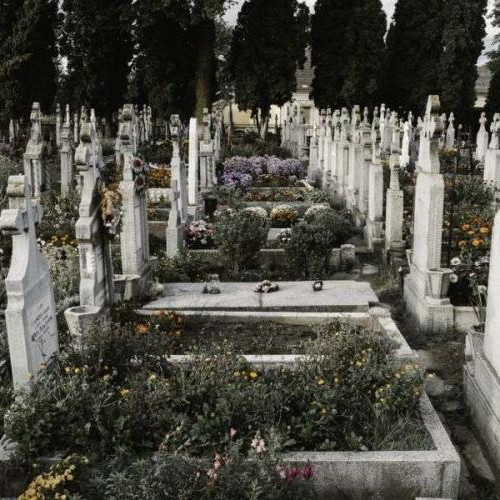 Cimitirul Mănăștur din Cluj-Napoca, transformat într-o zonă de colectare a gunoiului