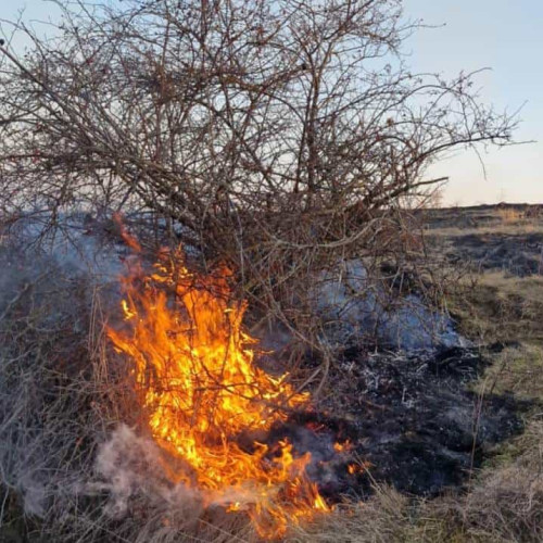 Incendiu pe cinci hectare de teren la Paclisa