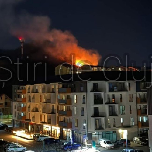 Incendiu de vegetație în comuna Florești, județul Cluj