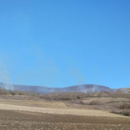 Incendii pe o suprafață de 15 hectare în apropierea pădurii
