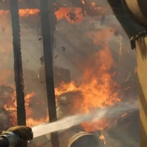 Incendiu devastator în localitatea Vișina