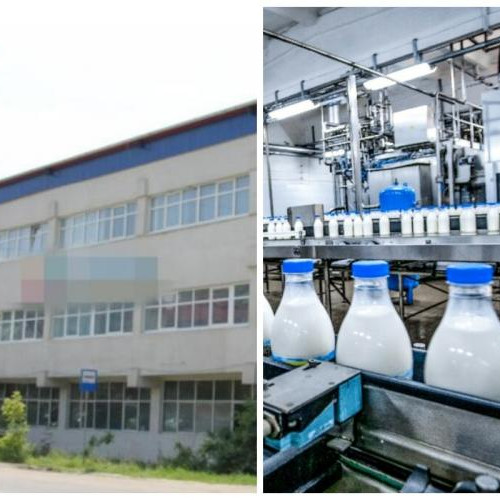 FrieslandCampina, brand olandez, își vinde afacerea Napolact