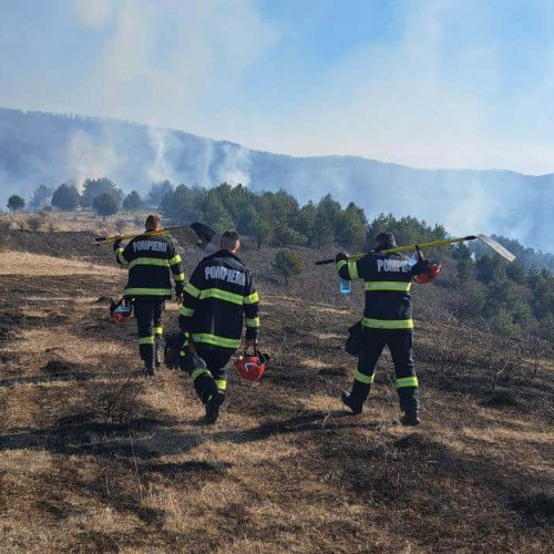Incendiu de vegetație în comuna Ceru Băcăinți