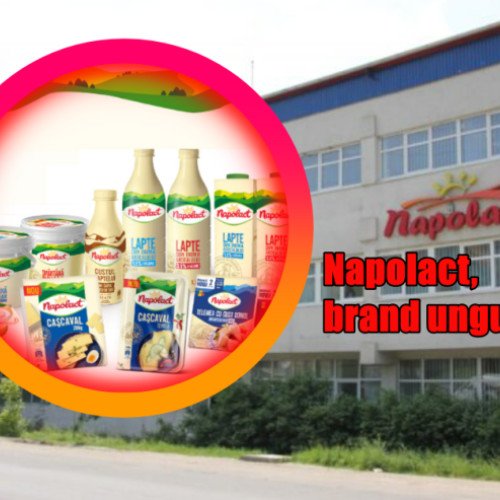 Napolact ar putea fi preluat de o mare companie ungurească