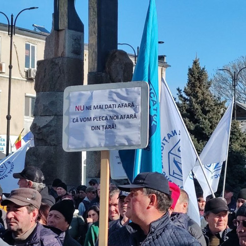 Contestatioanele la Tribunalul Constanța: Decizii așteptate astăzi