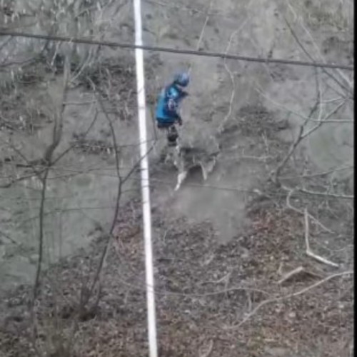 Pompierii și jandarmii din Buzău salvează un câine căzut într-o prăpastie