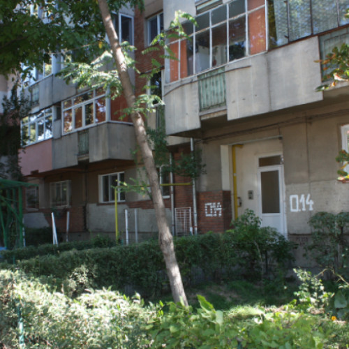 Clujean nemulțumit de vita de vie a vecinei, care îi invadează apartamentul