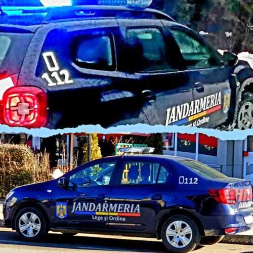Jandarmii din Dâmbovița au gestionat peste 300 de intervenții în 2024