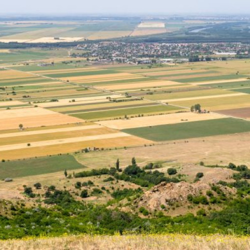 Fermierii trebuie să declare datele pentru Registrul Agricol până la sfârșitul lunii februarie