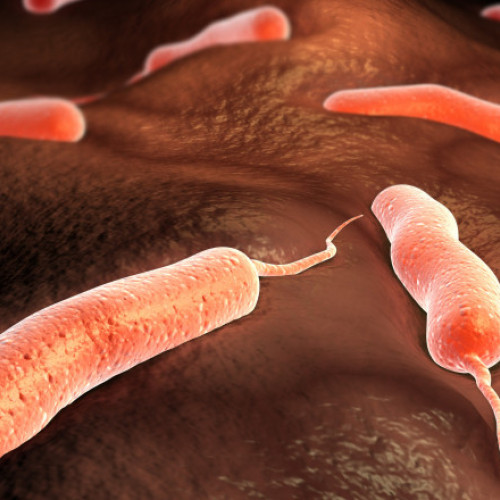 Epidemia de holeră din Angola a provocat peste 100 de decese