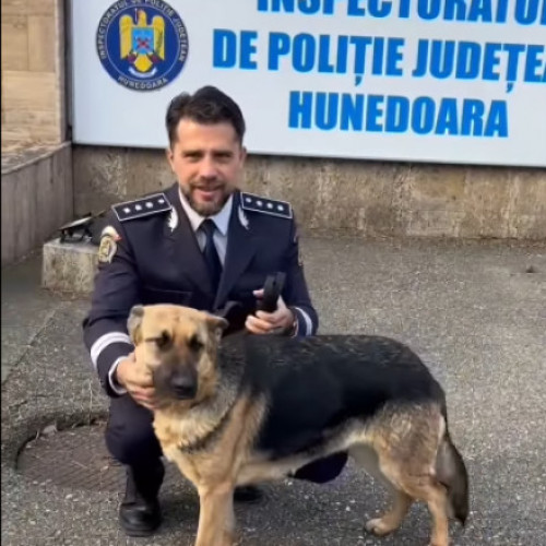 Cățelușa dispărută de Crăciun a fost găsită după o lună și jumătate de căutări