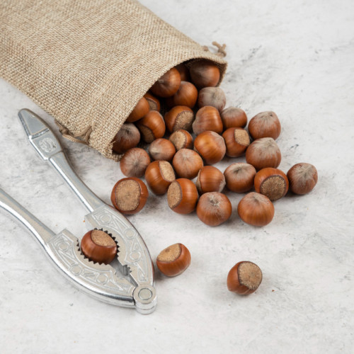 Autoritatea pentru Protecția Mediului Constanța anunță că proiectul de plantare a alunilor nu necesită studiu de impact asupra mediului