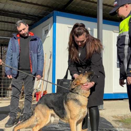 Catelusa pierduta in ajunul Craciunului a fost gasita dupa o luna si jumatate