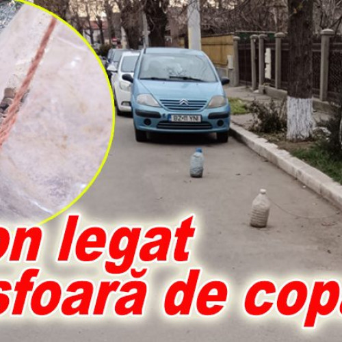 Fotografii amuzante cu soluții inventive pentru locurile de parcare la Buzău