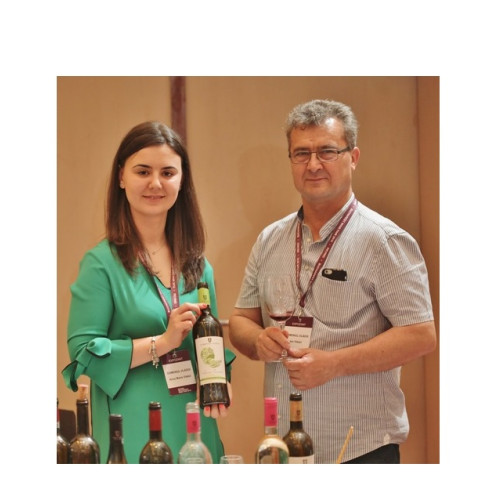 Proiect ambițios în Murfatlar: Domeniul Vladoi SRL propune un ansamblu turistic