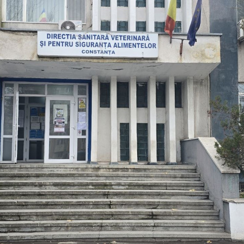 Autorizatie de constructie pentru renovarea DSVSA Constanta